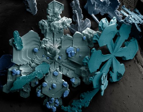 snow crystals ice