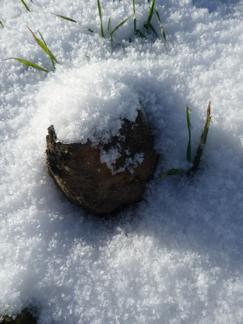 snow stone nature