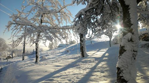 snow winter blast landscape