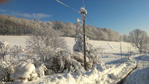 snow winter winter magic