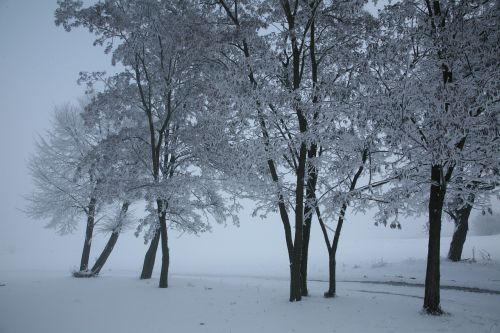 snow landscape winter