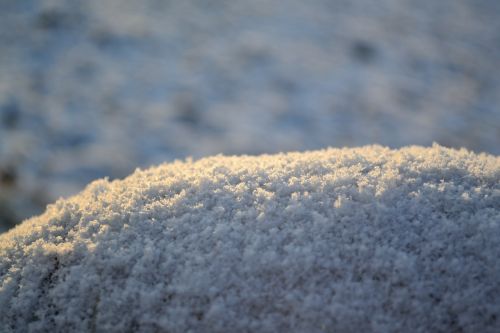 snow macro winter