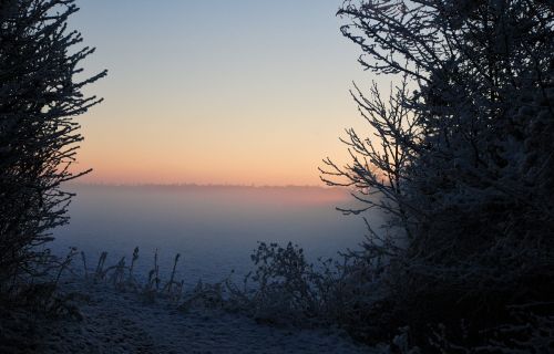 snow path aurora