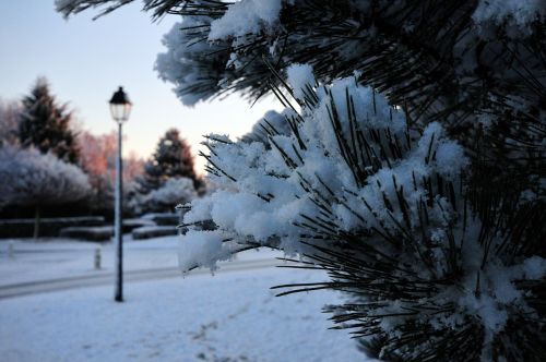 snow landscape aurora