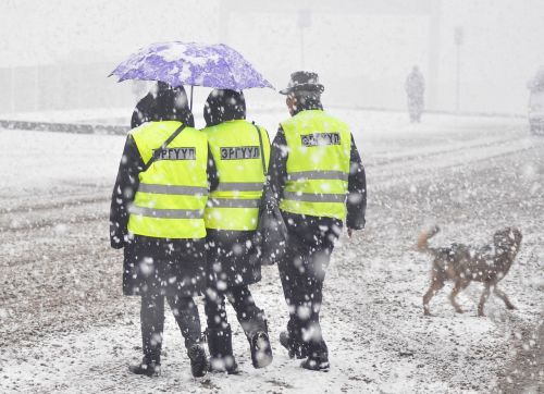 snow patrols umbrella