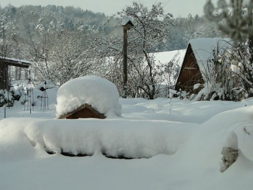 snow garden winter