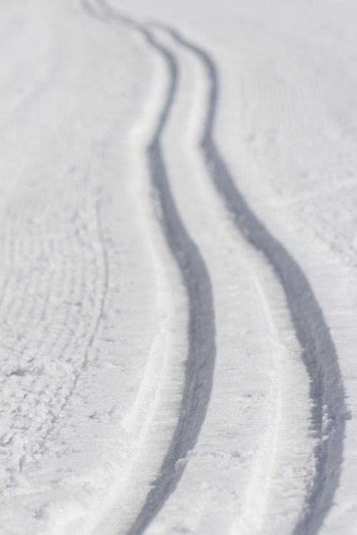 snow tracks white
