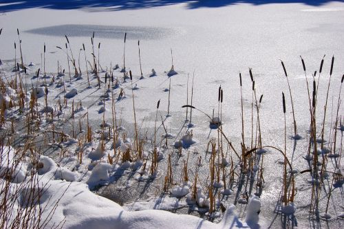 snow winter wintry