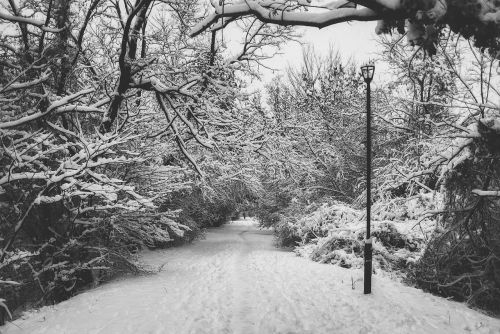 snow walk path
