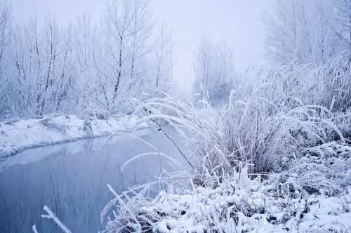 snow winter landscape