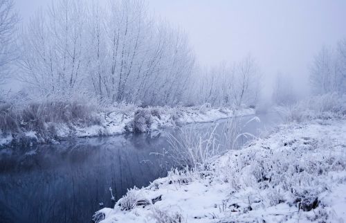 snow winter landscape