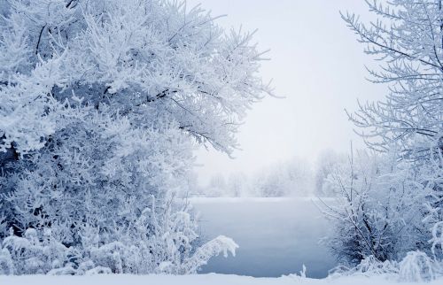 snow winter landscape