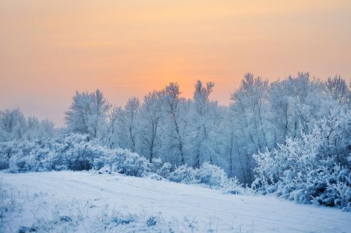 snow winter landscape