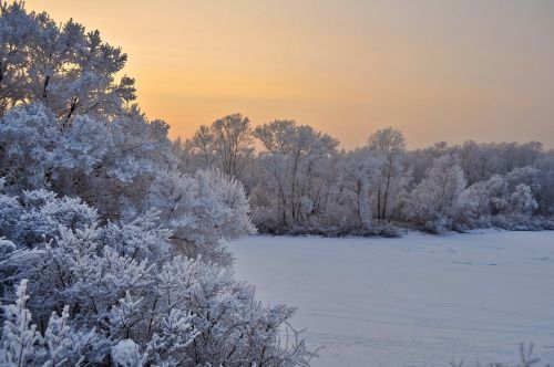 snow trees sunset