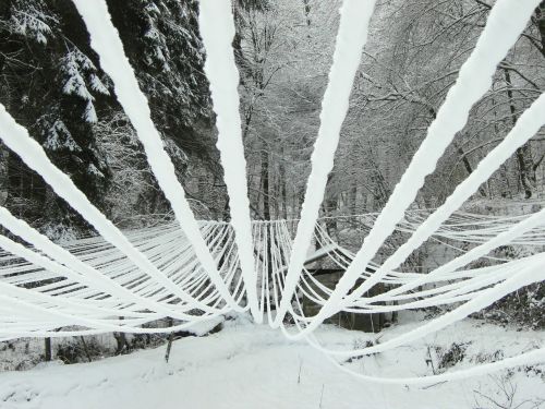 snow wires iced