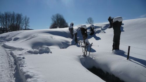 snow winter nature