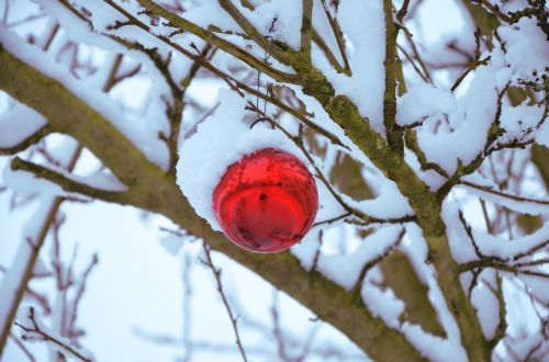 snow sphere christmas