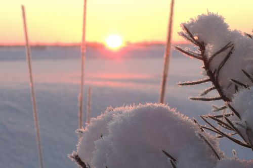 snow winter sun