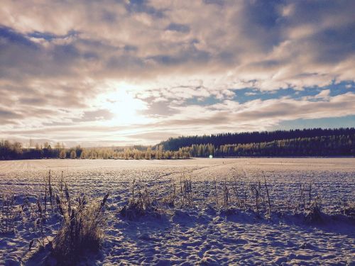 snow background landscape winter