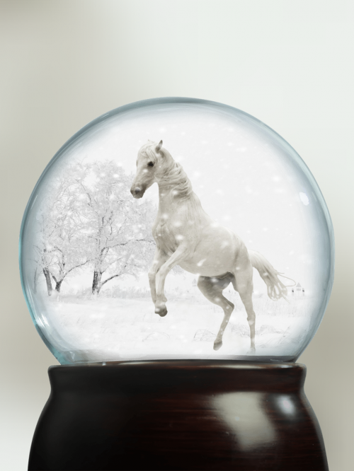 snow ball play horse snow