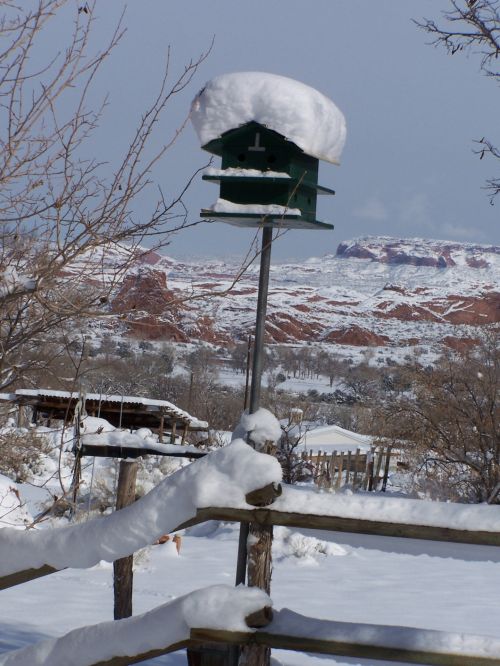 Snow-covered Bird House