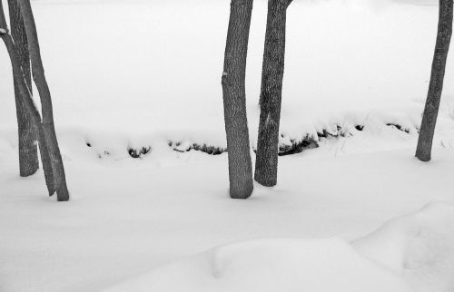 Snow-covered Creek