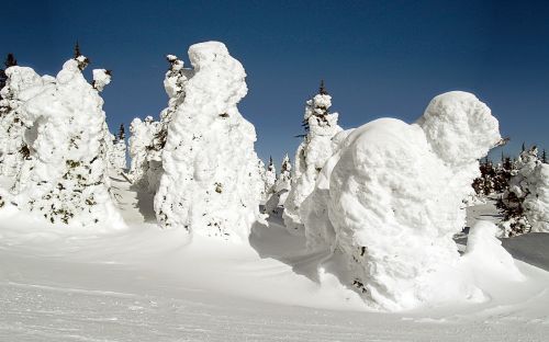 snow ghosts sun peaks canada