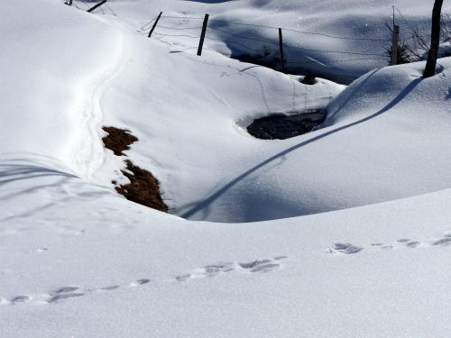 snow grips shadow snowed in