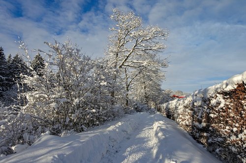 snow landscape  winter  wintry