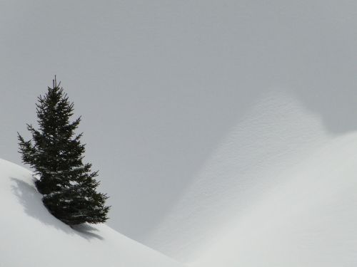 snow landscape wintry unaffected