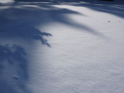 snow landscape winter sun