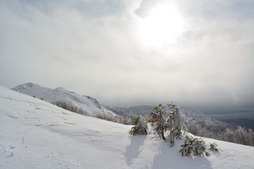 snow landscape sun