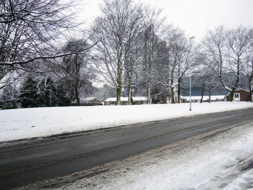 Snow Landscape