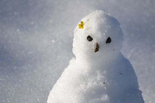 snow man snow winter