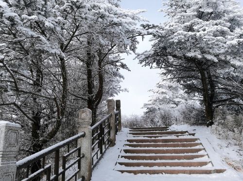 snow mountain forest emeishan