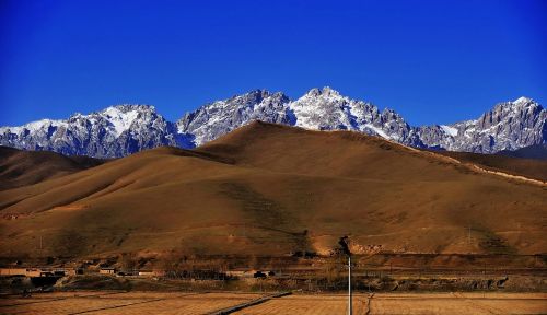 snow mountain grassland qilian mountains