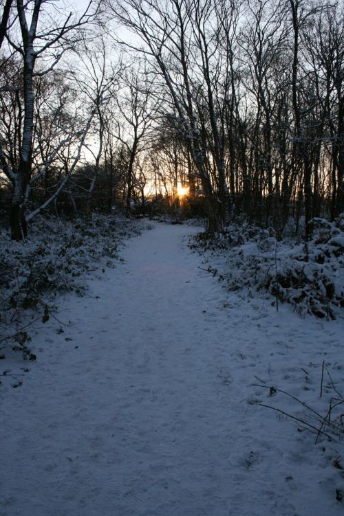 Snow Path