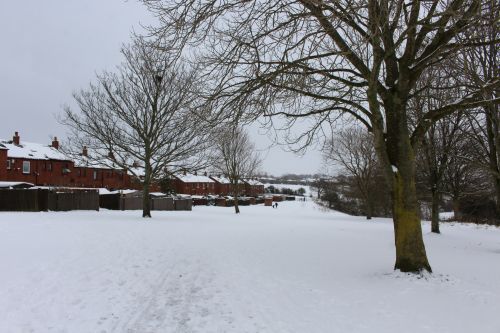 Snow Scene