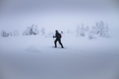 snow shoe trek snowshoe fog