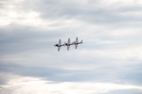 snowbirds canada precision