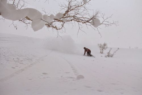 snowboard winter snow