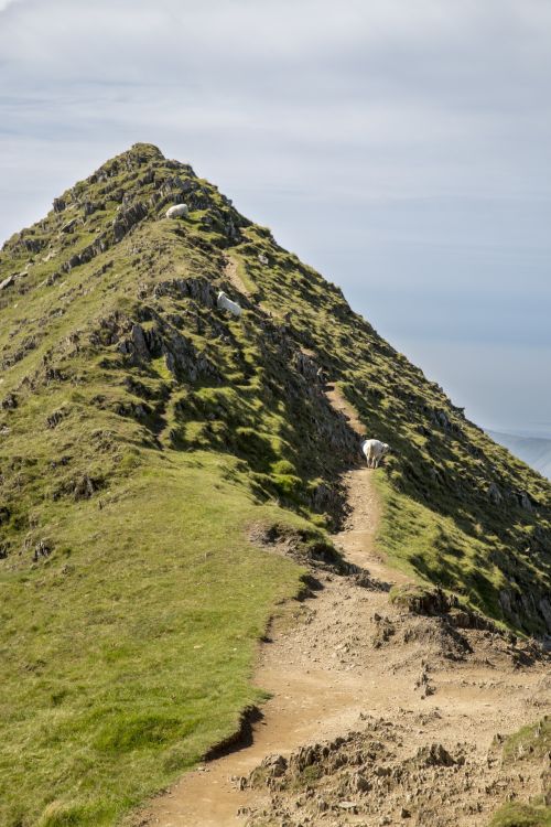 Snowdonia - Snowdon