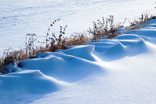 snowdrifts winter impressions wintry