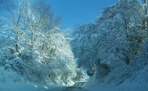 snowed covered pennsylvania
