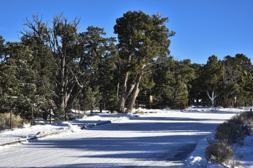 Snowed In Path