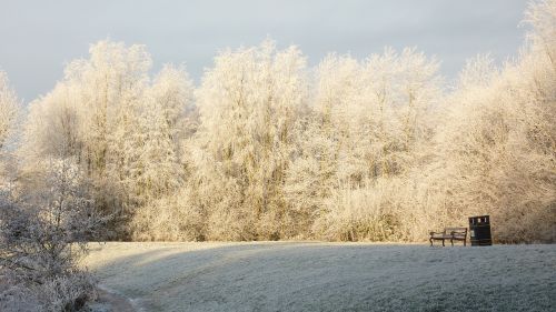 snowfall winter scenery