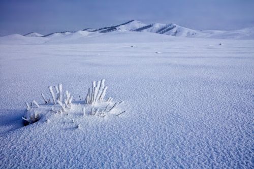 snowfield frozen winter