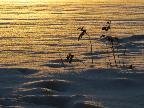 snowfield back light sun