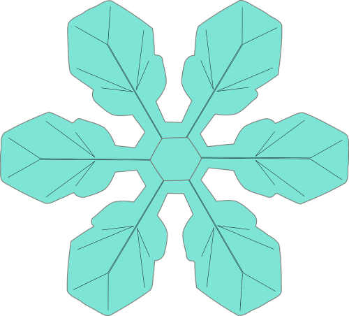snowflake ice crystal crystal
