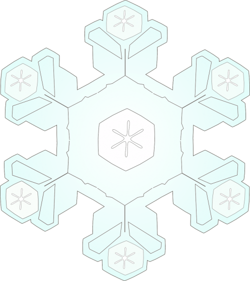 snowflake ice crystal snow